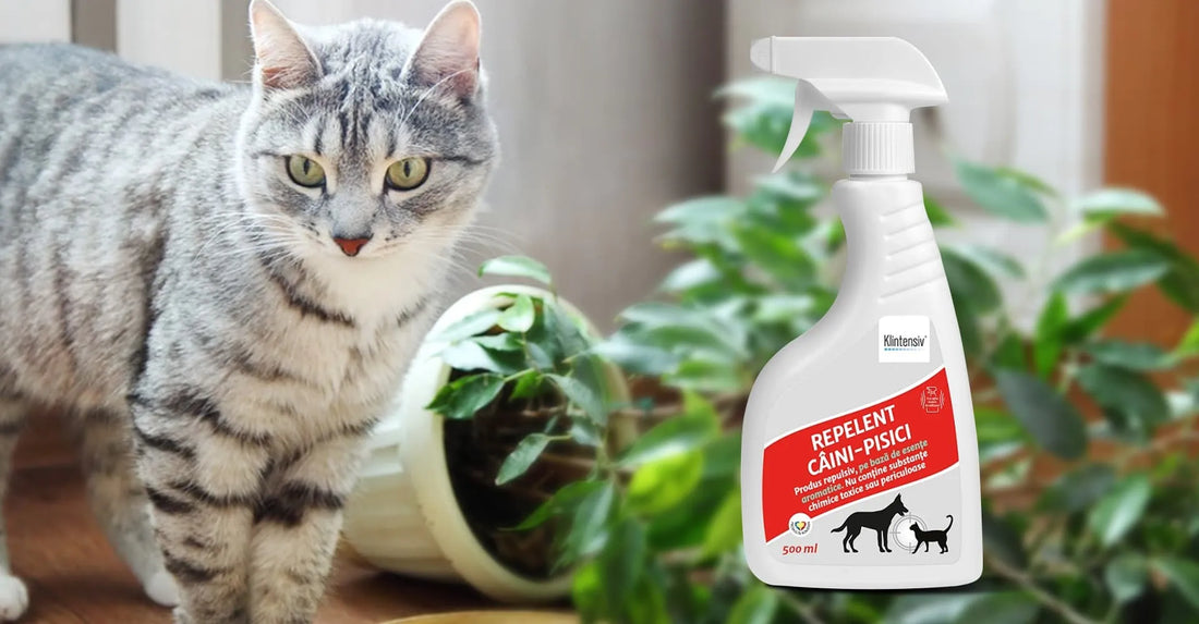 Cat de util este si cum se foloseste un repelent pentru pisici?