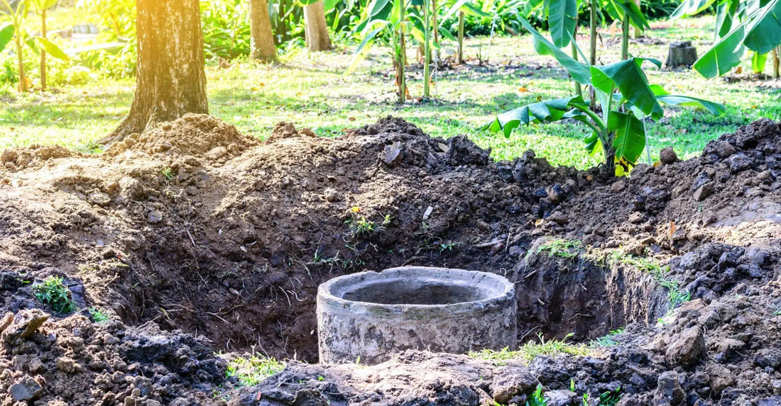 Bioactivator fosa septica: cum functioneaza o fosa septica bio?