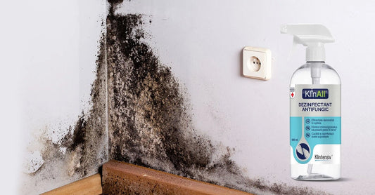 Soluții antimucegai: De ce apare mucegaiul, care sunt pericolele pentru sănătate?