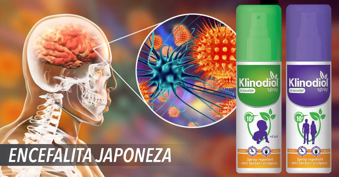 Encefalita japoneza: Cauze, Simptome, Transmitere, Tratament si Preventie