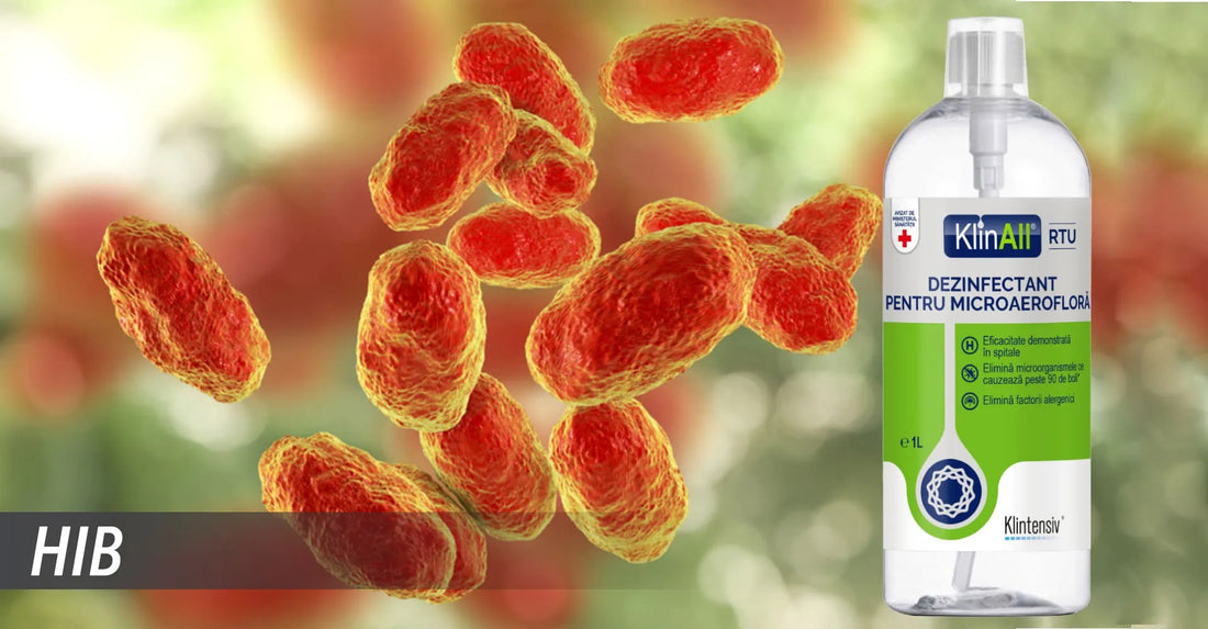 Boala Hib (Haemophilus Influenzae tip B): Cauze, Simptome, Transmitere, Tratament si Preventie