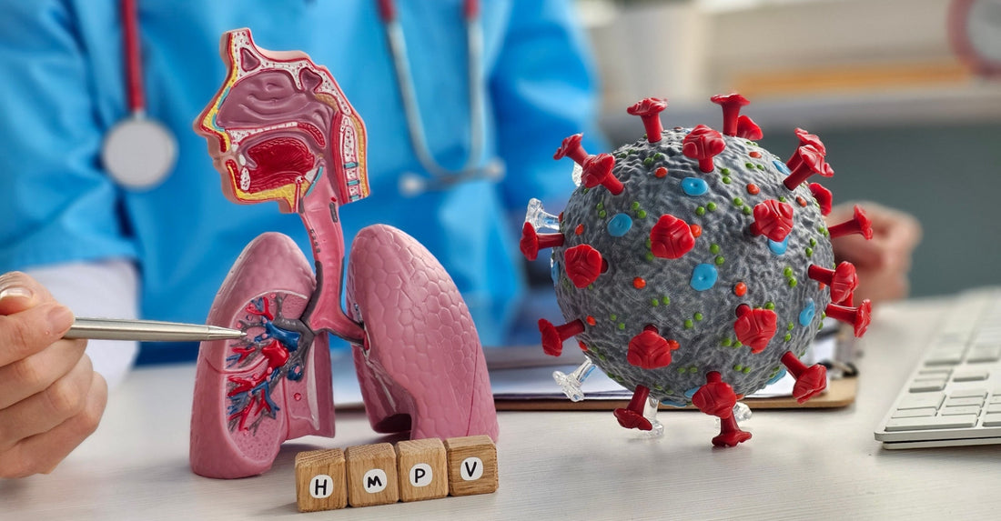 Metapneumovirus 2025 – Romania in alerta dupa primul caz confirmat