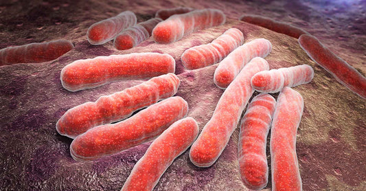 Pericole ascunse în spitale: Riscul de transmitere a agenților patogeni prin intermediul tastaturilor