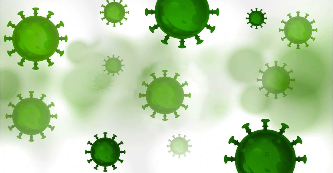 Ce stim despre coronavirusuri