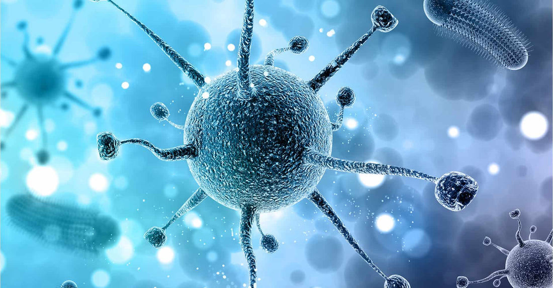 Explorand miturile coronavirusului