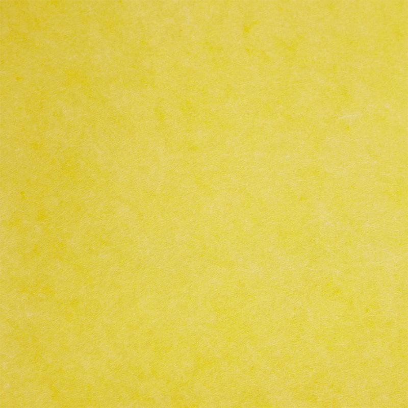 Wetclean pachet 10 buc pe culoare 1/4-folded