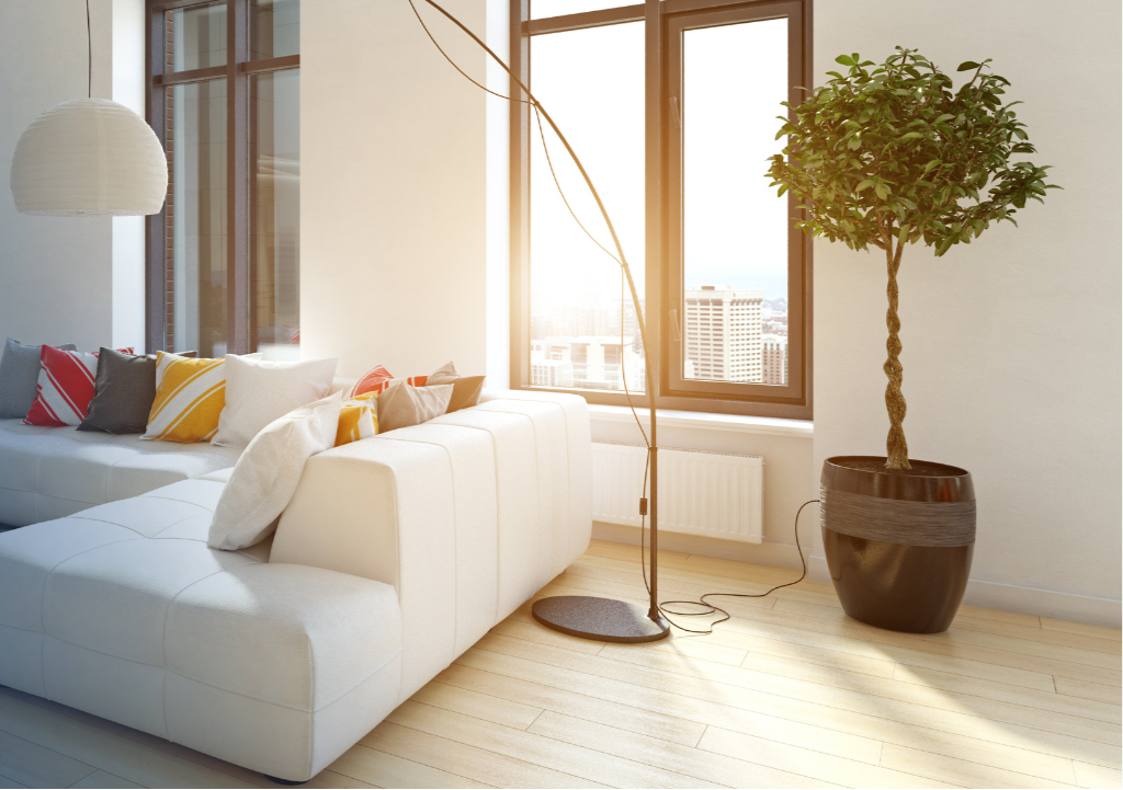 Promotii exclusive B2C